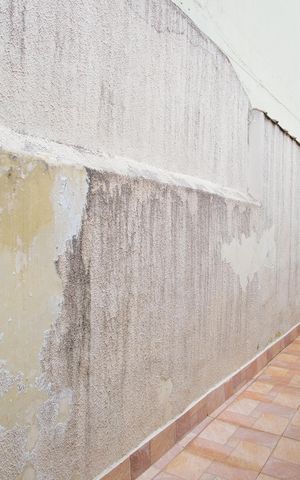 Casa para alugar com 84m², 2 quartos e sem vagaQuintal