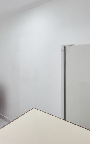 Apartamento para alugar com 40m², 1 quarto e 1 vagaCozinha - Armários