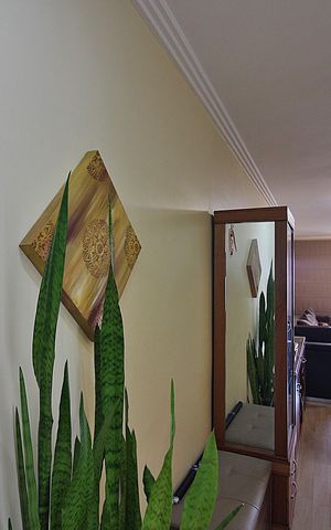 Apartamento à venda com 85m², 3 quartos e 2 vagasCorredor