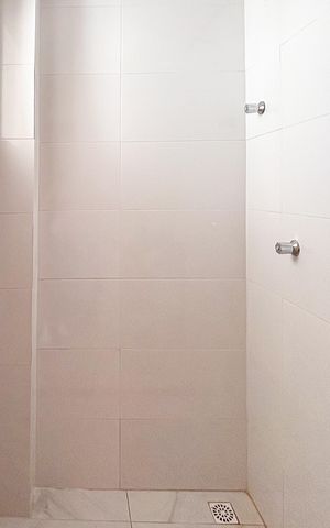 Apartamento para alugar com 50m², 2 quartos e sem vaga Apartamento para alugar com 50m², 2 quartos e sem vagaBanheiro