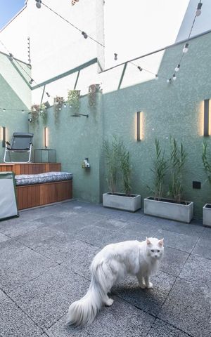 Casa à venda com 205m², 4 quartos e 2 vagasÁrea Externa - Banheira