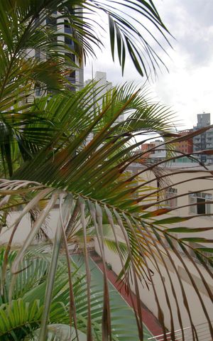 Apartamento para alugar com 115m², 3 quartos e 2 vagasVista do Quarto 1