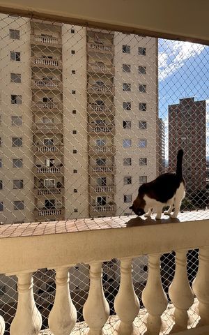 Apartamento à venda com 100m², 3 quartos e 2 vagas Apartamento à venda com 100m², 3 quartos e 2 vagasVista