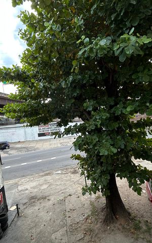 Apartamento à venda com 60m², 2 quartos e 1 vagaVista do Quarto 1