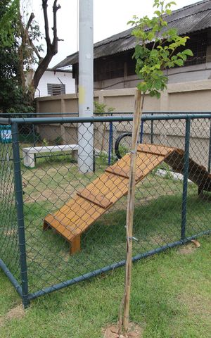 Apartamento à venda com 45m², 2 quartos e sem vagaÁrea comum - Parcão