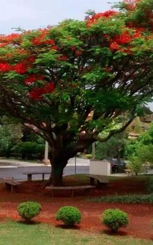 Casa de condomínio à venda com 500m², 4 quartos e 4 vagas