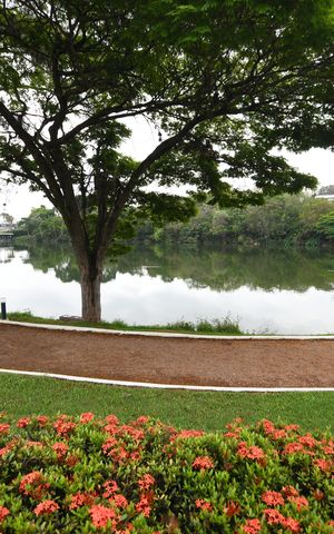 Casa de condomínio à venda com 470m², 4 quartos e 2 vagasÁrea comum