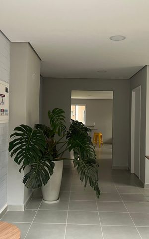 Apartamento para alugar com 37m², 2 quartos e sem vaga Apartamento para alugar com 37m², 2 quartos e sem vagaÁrea comum - Salão de festas