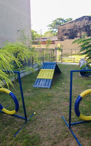 Apartamento para alugar com 50m², 2 quartos e sem vaga Apartamento para alugar com 50m², 2 quartos e sem vagaEspaço pet