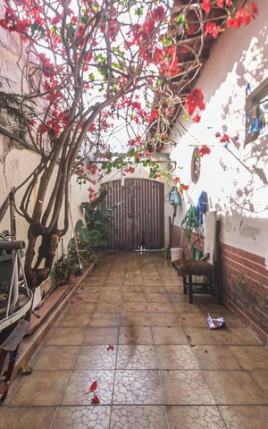 Casa à venda com 140m², 5 quartos e 3 vagasQuintal
