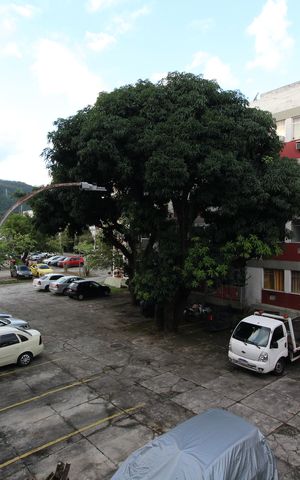 Apartamento à venda com 60m², 2 quartos e 2 vagasVista