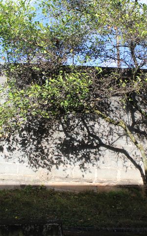 Casa de condomínio para alugar com 60m², 2 quartos e 2 vagasVista do Quarto