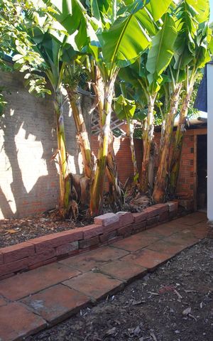 Casa à venda com 70m², 2 quartos e 5 vagasJardim