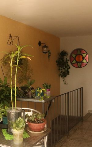 Casa à venda com 179m², 2 quartos e 2 vagasHall de entrada