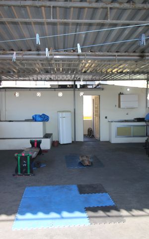 Casa à venda com 200m², 4 quartos e 1 vagaTerraço
