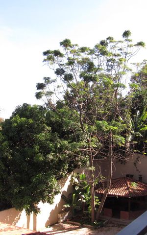 Studio para alugar com 39m², 1 quarto e sem vagaÁrea Externa