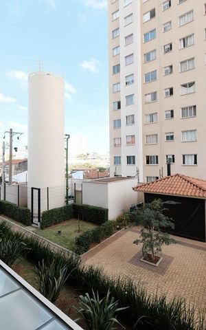Apartamento para alugar com 30m², 1 quarto e sem vagaSuíte Vista 