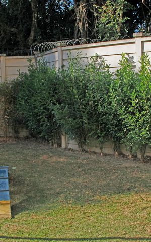 Apartamento para alugar com 134m², 2 quartos e 1 vagaÁrea comum