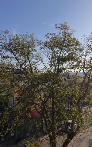 Apartamento à venda com 68m², 2 quartos e 2 vagasVista da Cobertura - Quintal