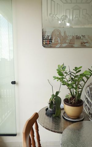 Apartamento à venda com 98m², 4 quartos e 2 vagasSacada