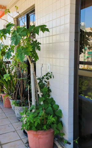 Apartamento à venda com 205m², 3 quartos e 3 vagas Apartamento à venda com 205m², 3 quartos e 3 vagasVaranda da Sala