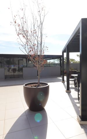 Apartamento à venda com 65m², 3 quartos e 1 vagaÁrea Comum - Churrasqueira