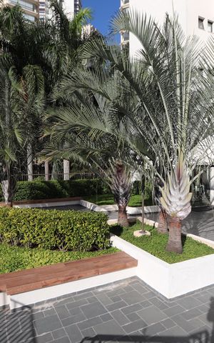 Apartamento à venda com 70m², 2 quartos e 2 vagasÁrea comum - Jardim
