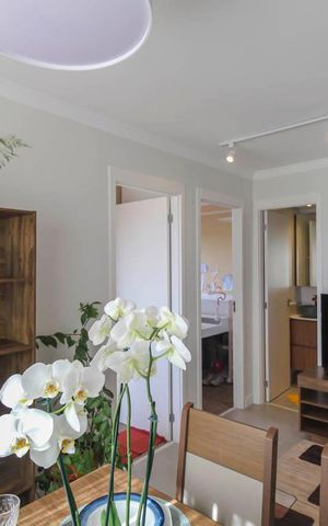 Apartamento para alugar com 38m², 2 quartos e sem vaga Apartamento para alugar com 38m², 2 quartos e sem vagaSala