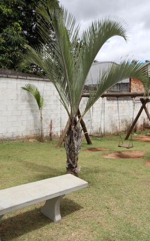 Apartamento para alugar com 50m², 2 quartos e 1 vagaÁrea comum - Playground
