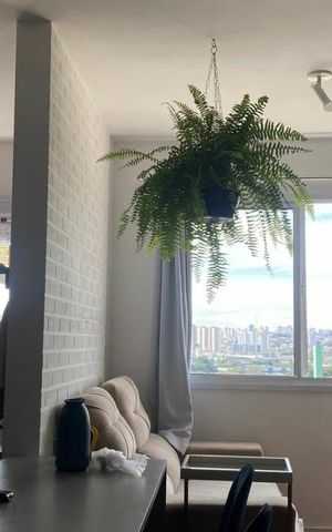 Apartamento à venda com 31m², 1 quarto e sem vaga