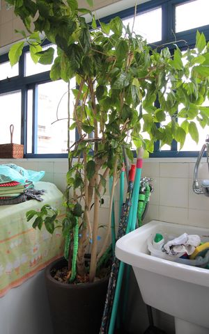 Apartamento à venda com 70m², 2 quartos e 1 vagaCozinha e Área de Serviço
