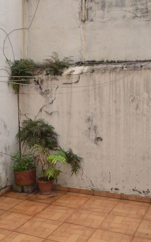 Casa de condomínio à venda com 110m², 3 quartos e 2 vagasQuintal