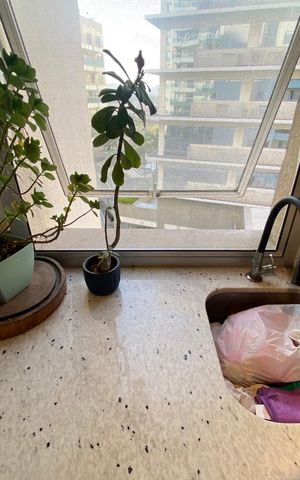 Apartamento à venda com 85m², 2 quartos e 1 vaga Apartamento à venda com 85m², 2 quartos e 1 vagaCozinha e Área de Serviço
