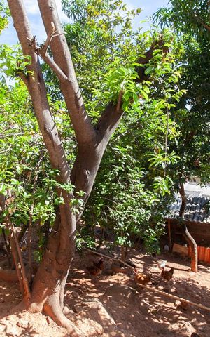 Casa à venda com 360m², 4 quartos e 2 vagas Casa à venda com 360m², 4 quartos e 2 vagasQuintal