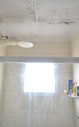 Apartamento à venda com 100m², 2 quartos e 1 vagaBanheiro da Suíte