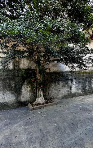 Casa à venda com 114m², 2 quartos e sem vaga Casa à venda com 114m², 2 quartos e sem vagaVista Quarto 1