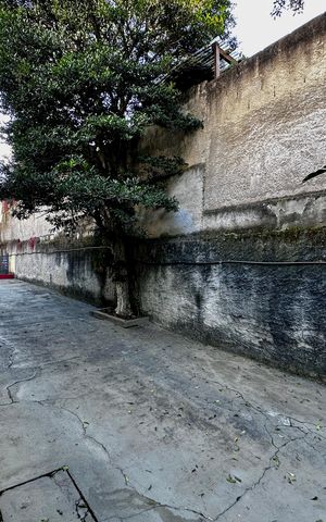 Casa à venda com 114m², 2 quartos e sem vaga Casa à venda com 114m², 2 quartos e sem vagaGaragem