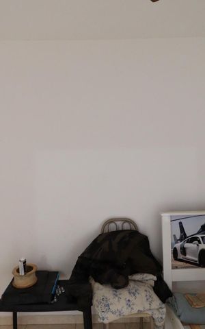 Apartamento para alugar com 1m², 2 quartos e sem vaga Apartamento para alugar com 1m², 2 quartos e sem vagaQuarto 1