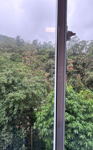 Apartamento para alugar com 53m², 2 quartos e 1 vaga Apartamento para alugar com 53m², 2 quartos e 1 vagaQuarto 2 - Vista