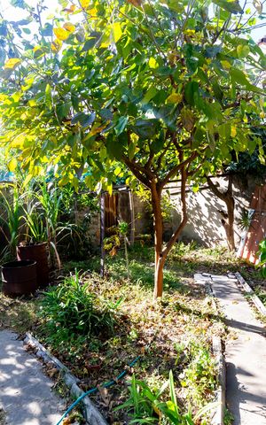 Casa à venda com 732m², 5 quartos e 6 vagas Casa à venda com 732m², 5 quartos e 6 vagasÁrea externa