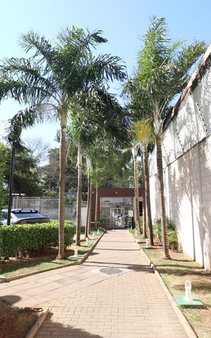 Apartamento à venda com 61m², 3 quartos e 1 vagaÁrea comum