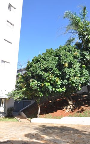 Apartamento à venda com 55m², 2 quartos e 1 vagaÁrea comum