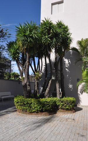 Apartamento à venda com 55m², 2 quartos e 1 vagaÁrea comum