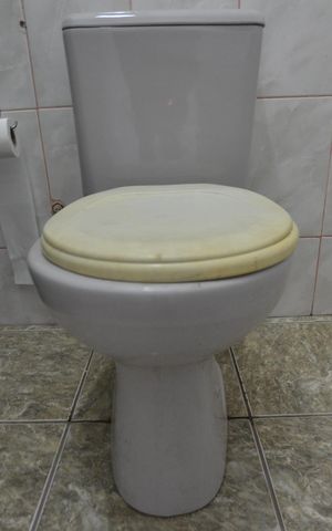 Casa para alugar com 70m², 1 quarto e sem vagaBanheiro