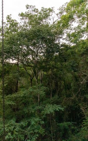 Casa de condomínio à venda com 400m², 5 quartos e 2 vagas Casa de condomínio à venda com 400m², 5 quartos e 2 vagasVista da Suíte 2