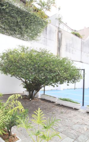 Casa à venda com 374m², 4 quartos e 5 vagasQuintal