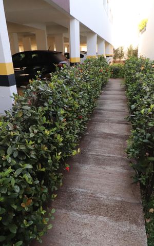 Apartamento para alugar com 58m², 2 quartos e 2 vagasHall de entrada