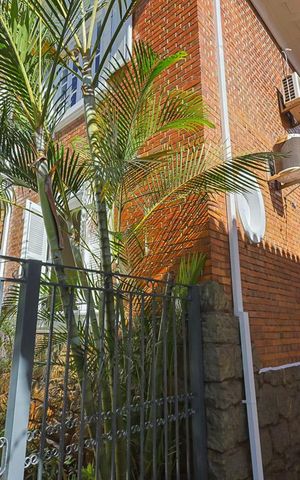 Casa à venda com 400m², 4 quartos e 11 vagas Casa à venda com 400m², 4 quartos e 11 vagasJardim