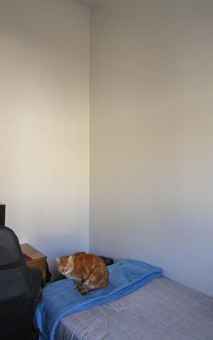 Casa de condomínio à venda com 100m², 3 quartos e 2 vagas Casa de condomínio à venda com 100m², 3 quartos e 2 vagasQuarto 1