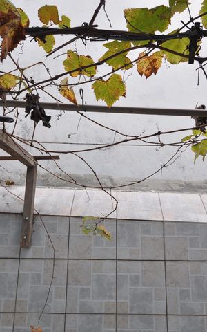 Casa à venda com 147m², 3 quartos e 2 vagasVista do Quarto 1